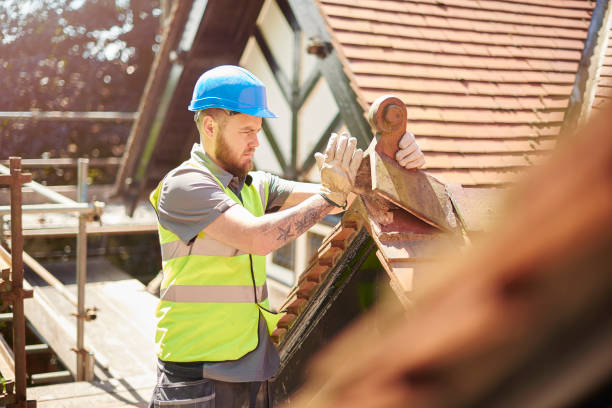 Roof Gutter Cleaning in Gilroy, CA